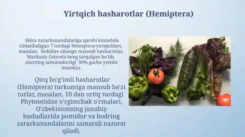 Sabzavot poliz ekinlari entomofaglari 3