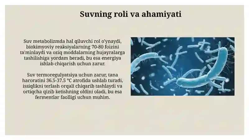 Organizmningsuv-disperssistemasi 3