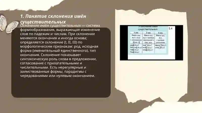 Склонение имён существительных общие характеристики 3