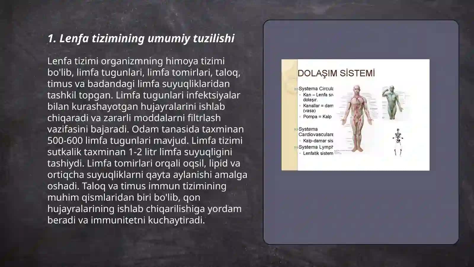 Lenfa tizimi 3