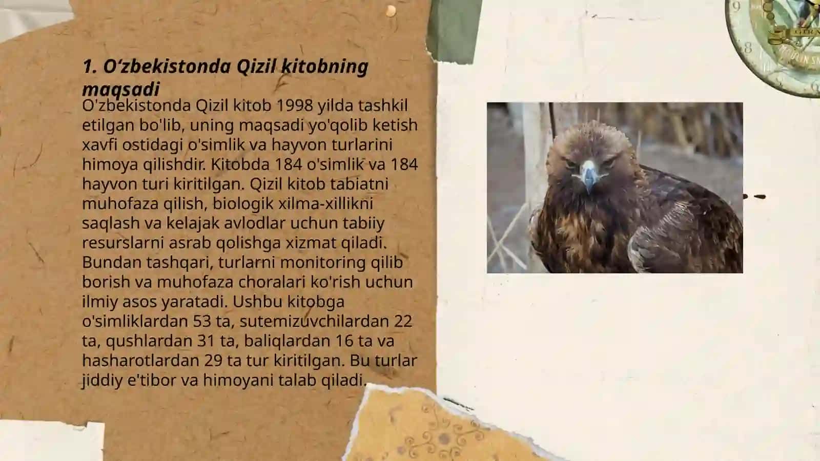 O'zbekistondagi qizil kitobga kiritilgan hayvonlar va õsimliklar 3