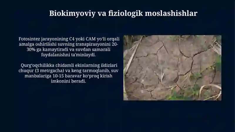 Don-dukkakli ekinlarning asosiy hususiyatlari 3