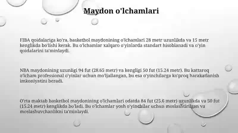Baskidbol oʻyini maydon va oʻlchamlari 3