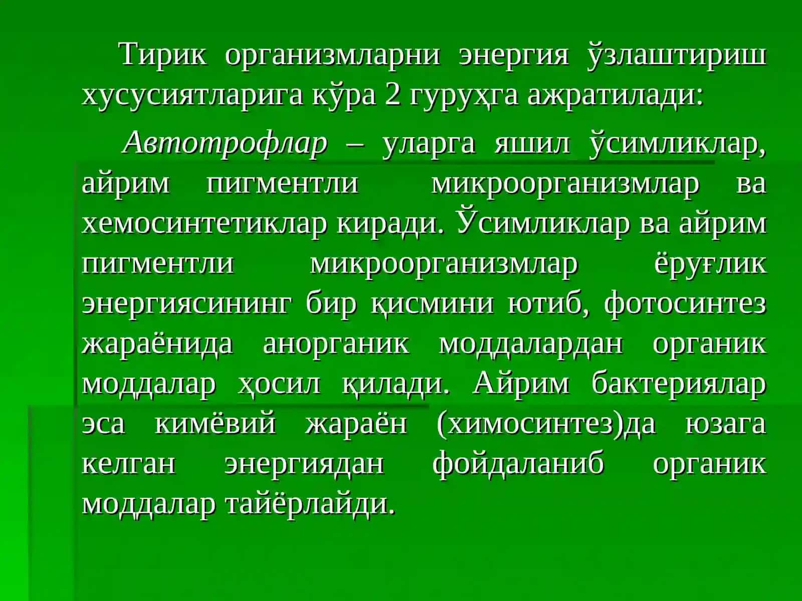 ФОТОСИНТЕЗ 3