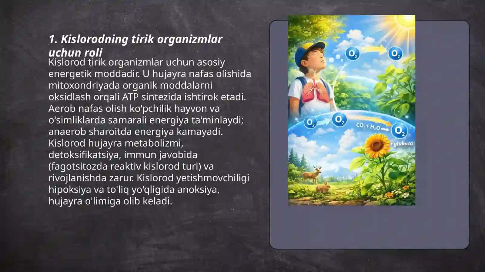 7-sinf Ozon va kislorodning biologik ahamiyati 3