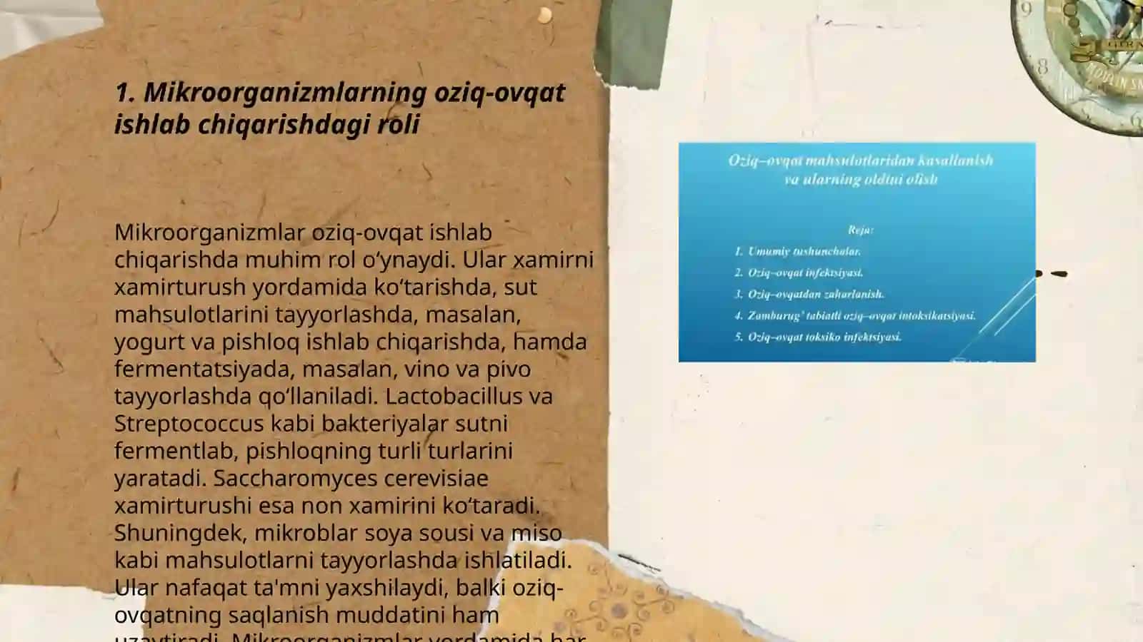 Mikroorganizmlar va ularning oziq ovqat sanoatidagi ŏrni 3