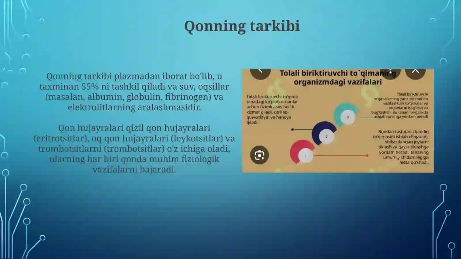 Qonvasiyraktolalibiriktiruvchito'qimaningo'zaromunosabatlari 3