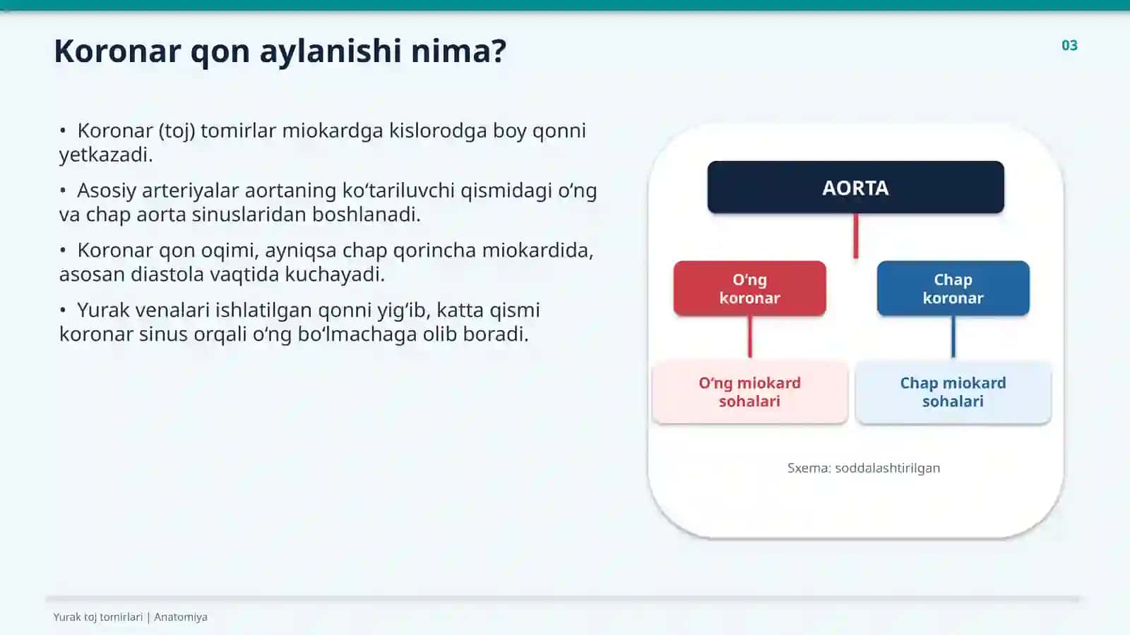 YURAK TOJ TOMIRLARI 3