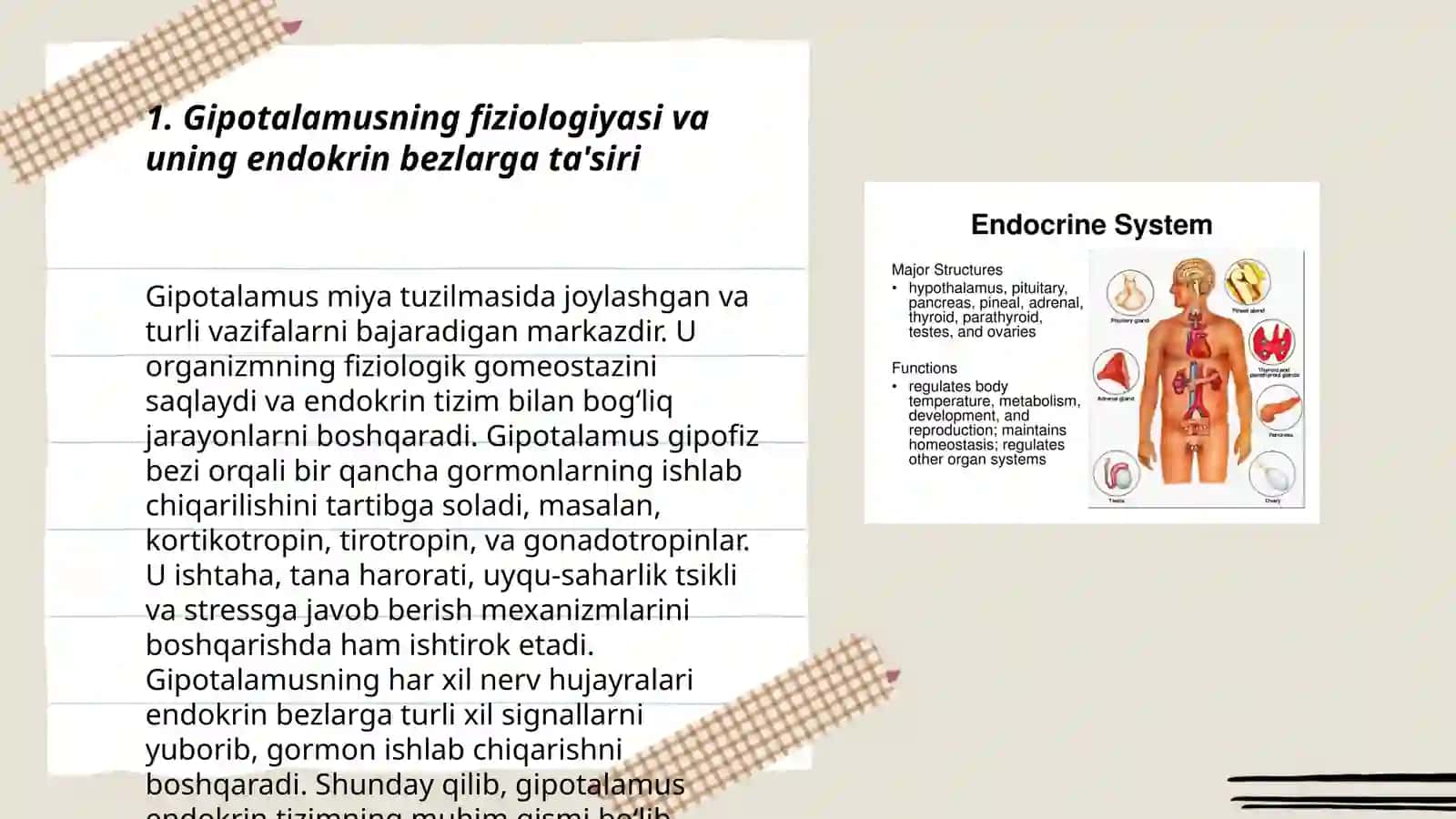 Gipotalamusning Fiziologiyasi va Uning Endokrin Bezlarga Ta'siri 3