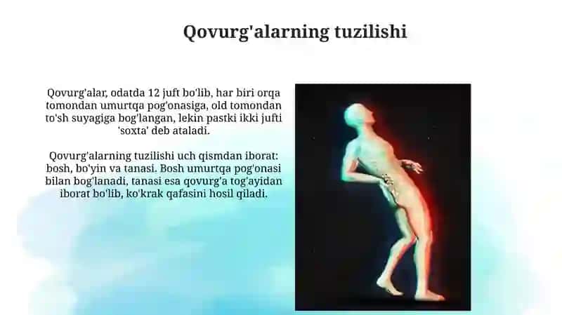 Qovurg'alarning Tuzilishi va Joylashuvi 3