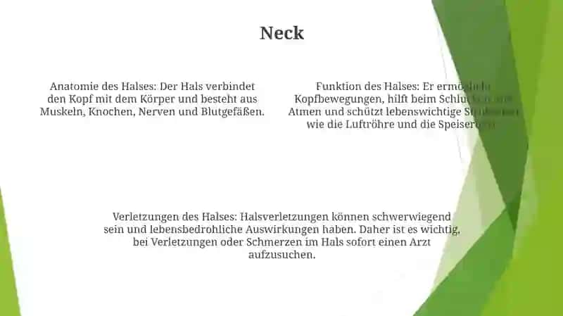 Körperteile 3