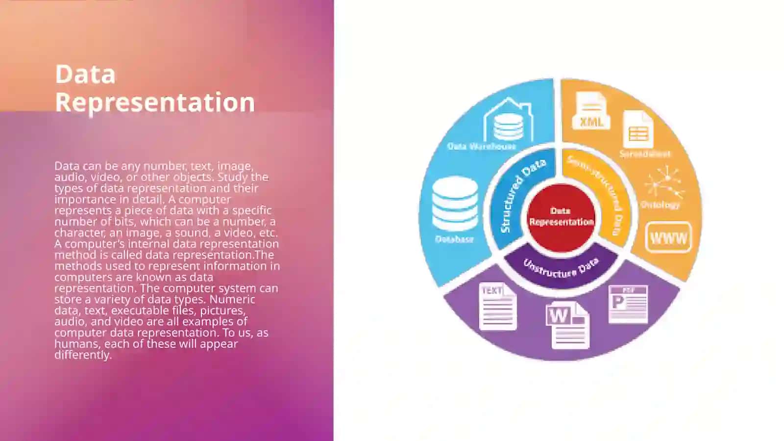 Representation of Numerical and Non-Numerical Data 3