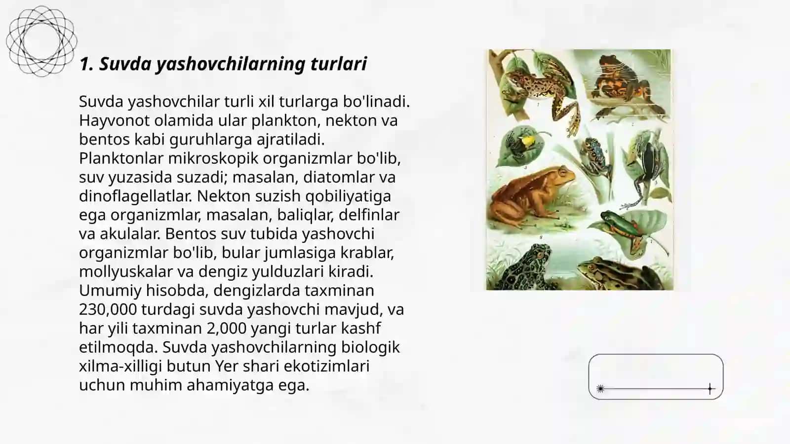 Suvda xamda quruqlikda yashovchilar sistematikasi 3