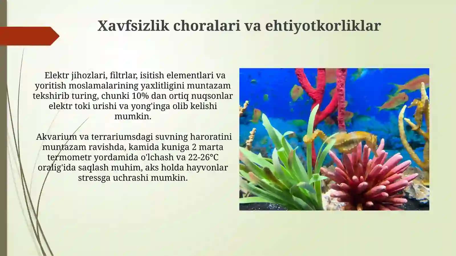 Akvariumda va terrariumda yashovchilarni parvarishlashning shartsharoitiniórganish 3