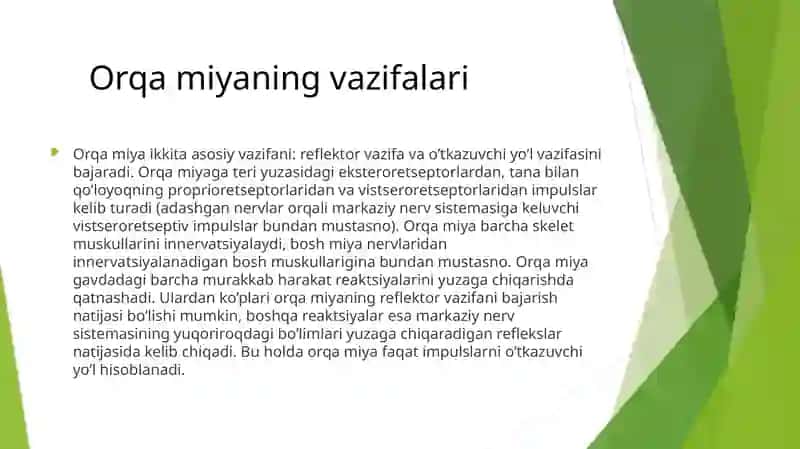Orqamiya 3