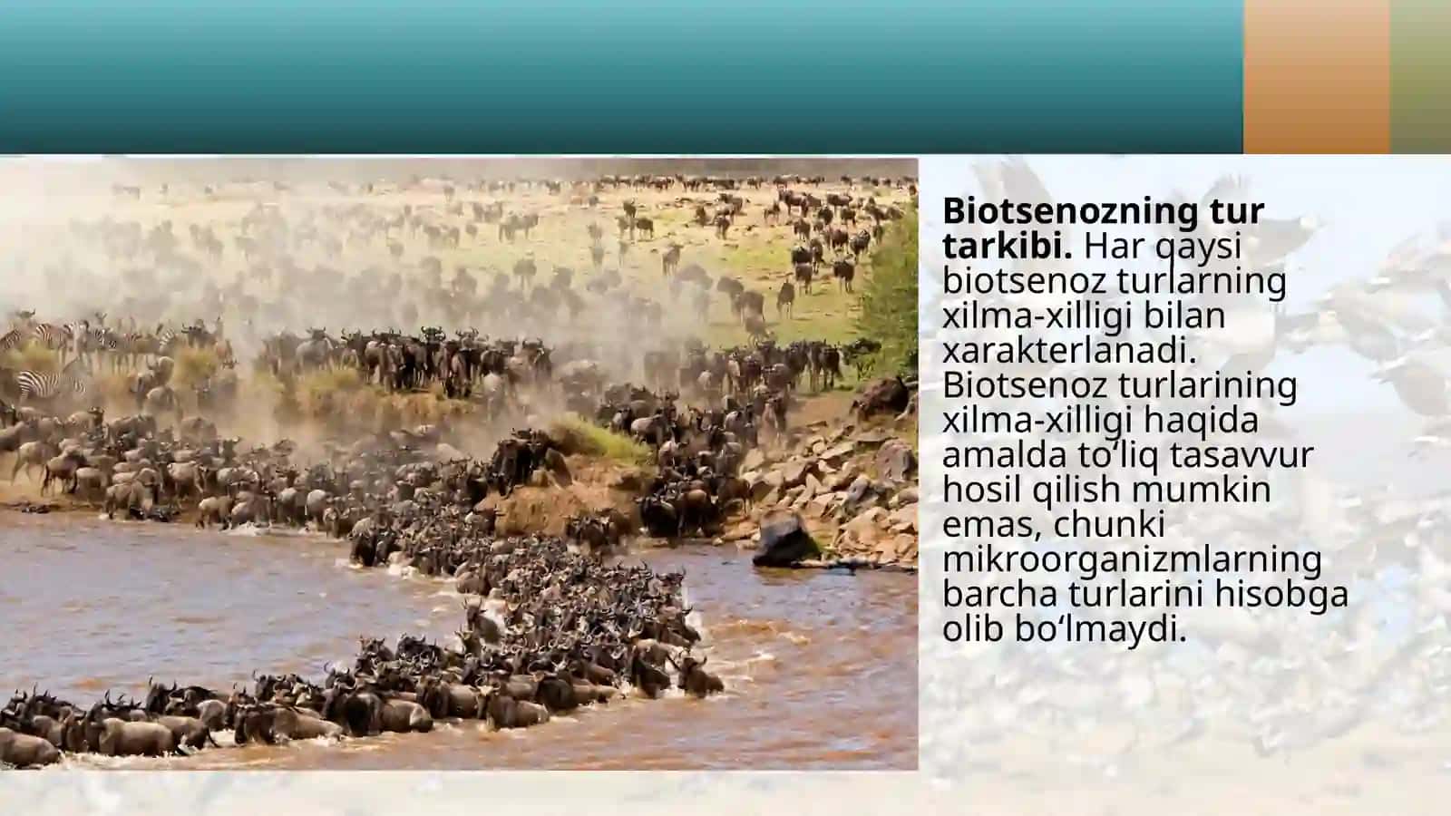 "Turning populationsktukturasi(davomi)" mavzusida 3