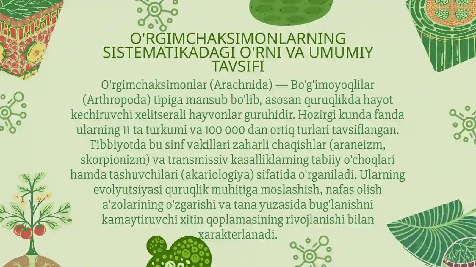 O'RGIMCHAKSIMONLAR OILASI 3