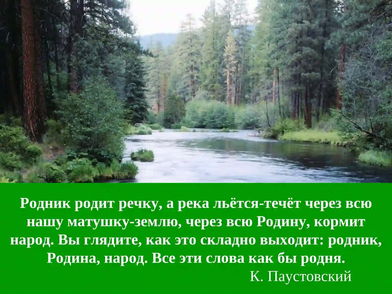 Однокоренные слова    и формы одного и того же слова 3