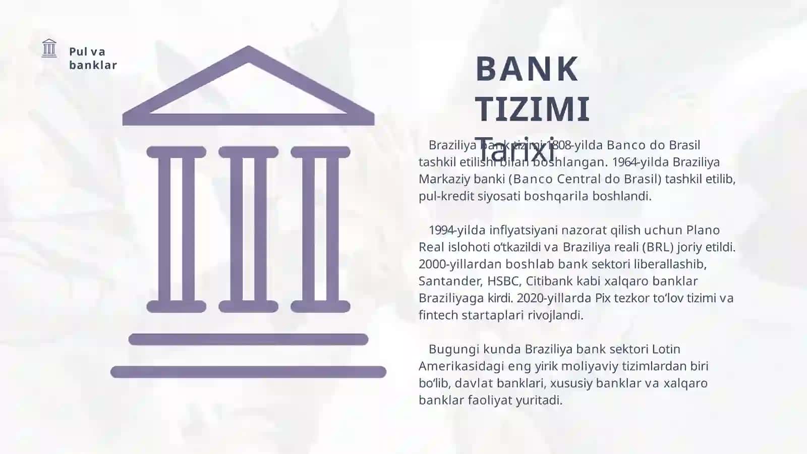 BRAZILIYA BANKTIZIMI 3