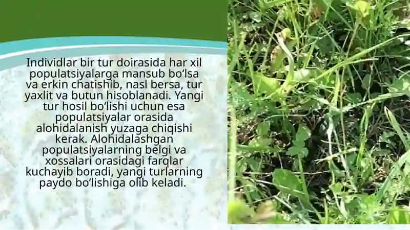 Turlarning paydo bo‘lishi 3