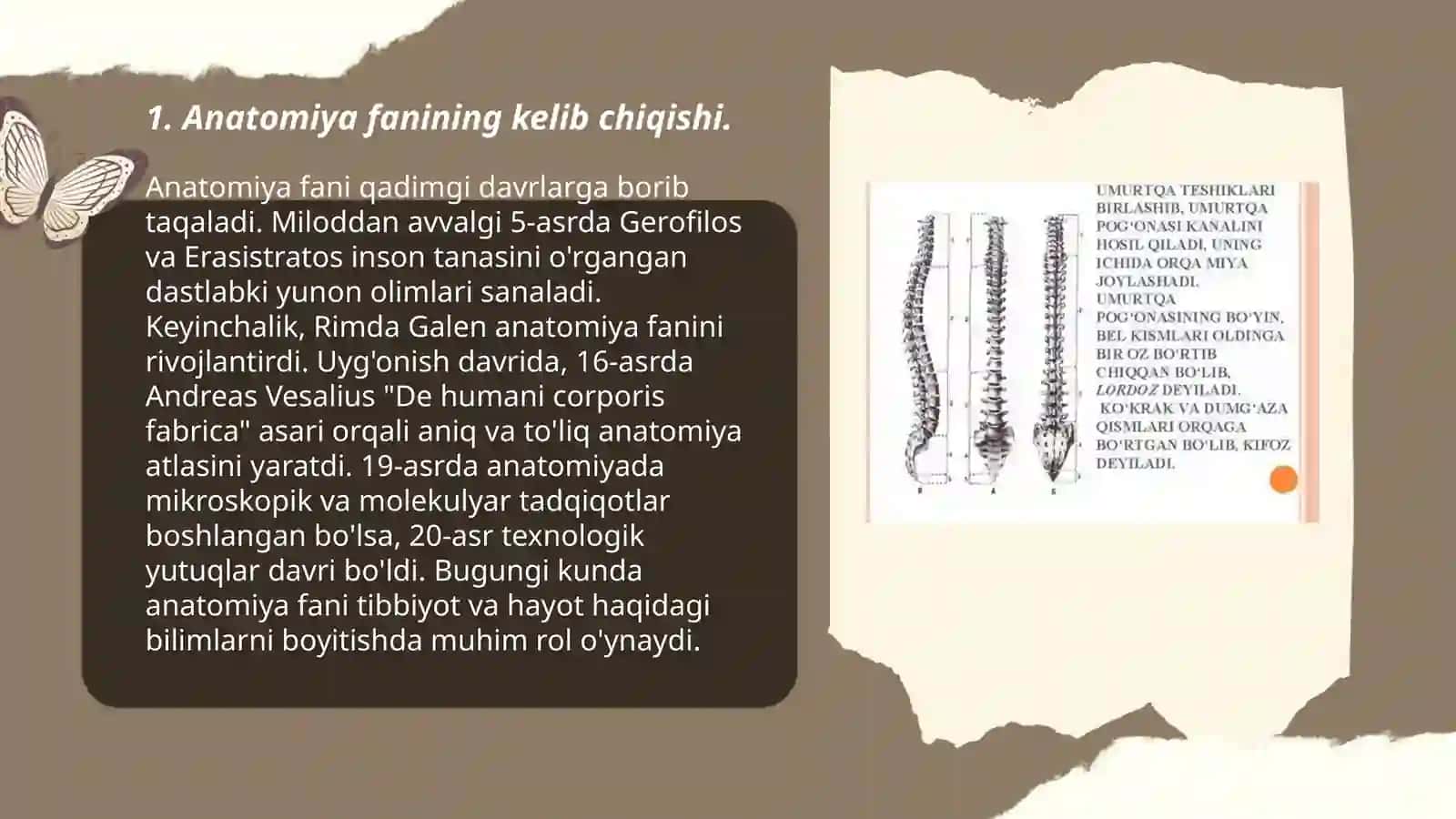 Anatomiya fanining rivojlanish tarixi va boshqa fanlar bilan aloqasi - Mamarajabov akbarali 3