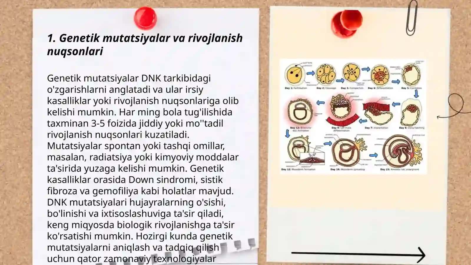 Muhit omillarining embriogenez va tuĝma rivojlanish nuqsonlari shakllanishiga ta'siri. Antropogenezning umumiy savollari 3
