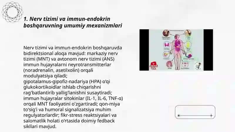 Nerv tizimi va immun‑endokrin boshqaruvning umumiy mexanizmlari 3