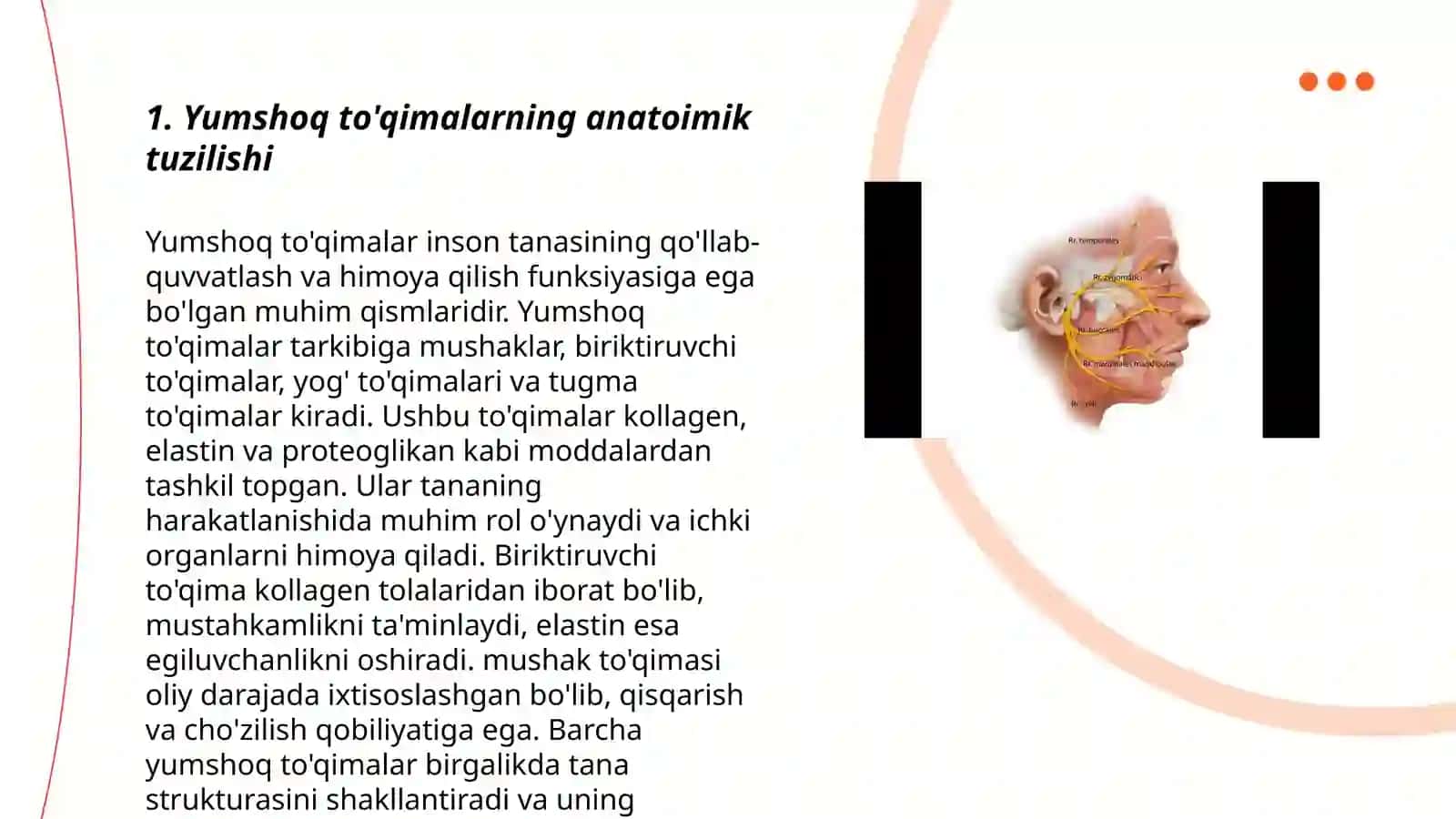 Yumshoq to'qimalarning tuzilishi 3