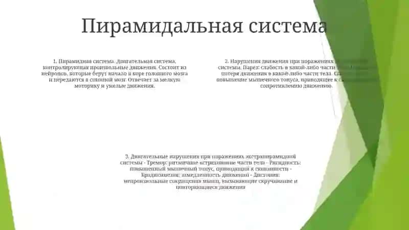 Нарушения Двигательных Актов При Поражениях, Имеющихся На Разных Уровнях Пирамидной И Экстрапирамидной Систем (Парезы, Параличи И Др.) 3