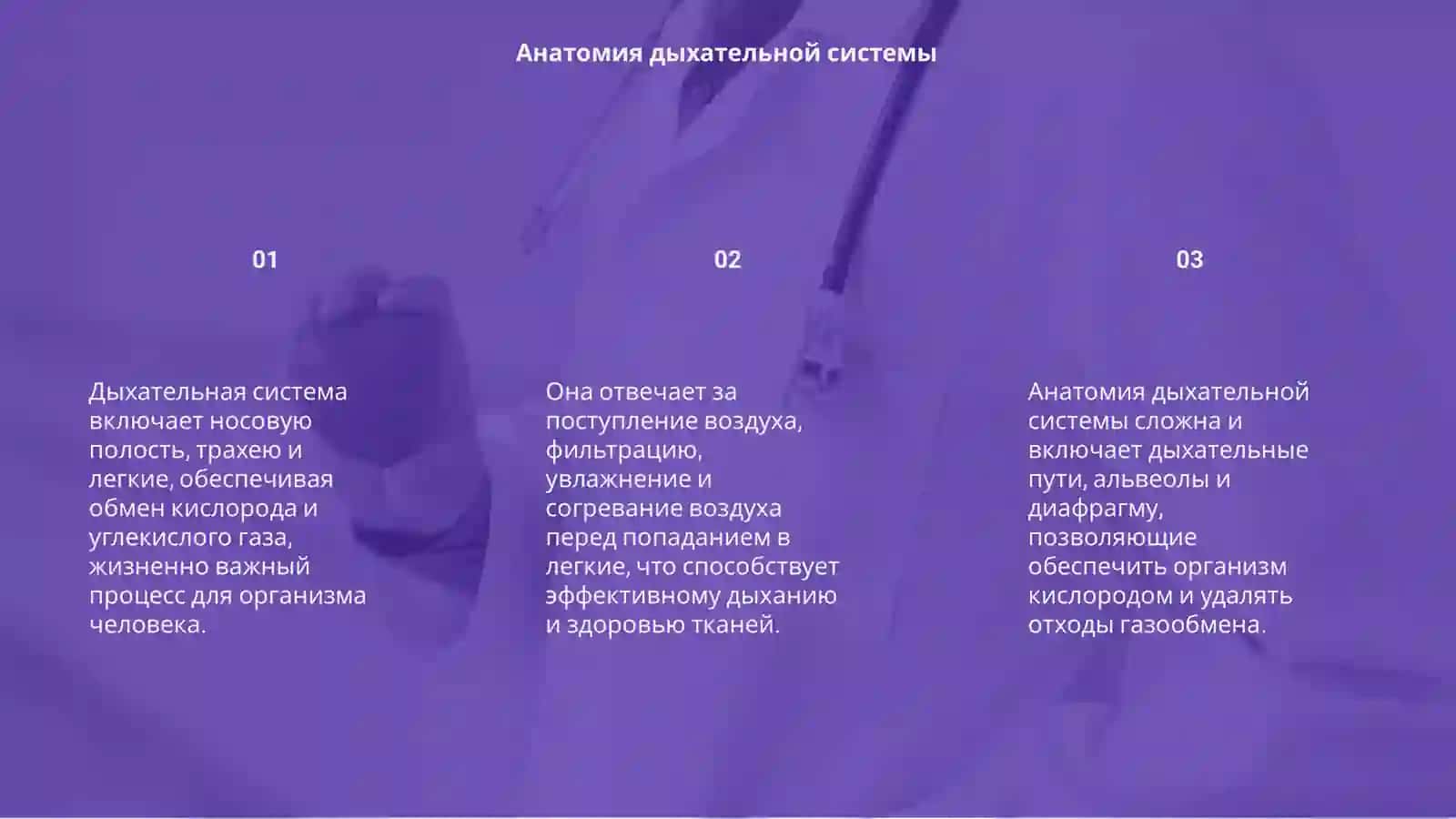 Дыхательная система 3
