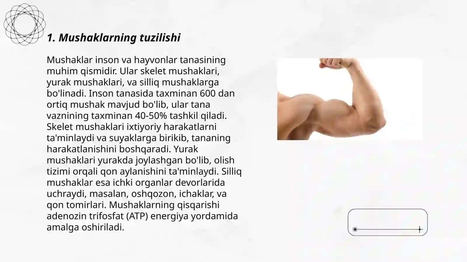 mushaklarning xossalari 3