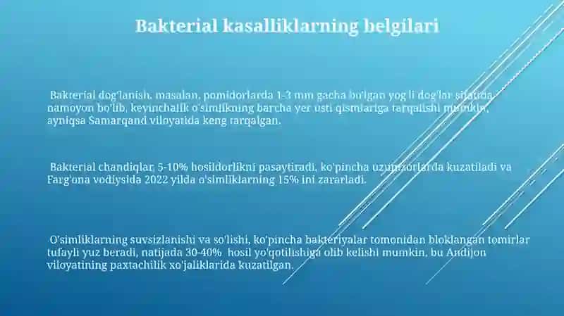 Beda oʻsimligi kasalliklari kasallikning namoyon boʻlishi tashqi belgilari 3