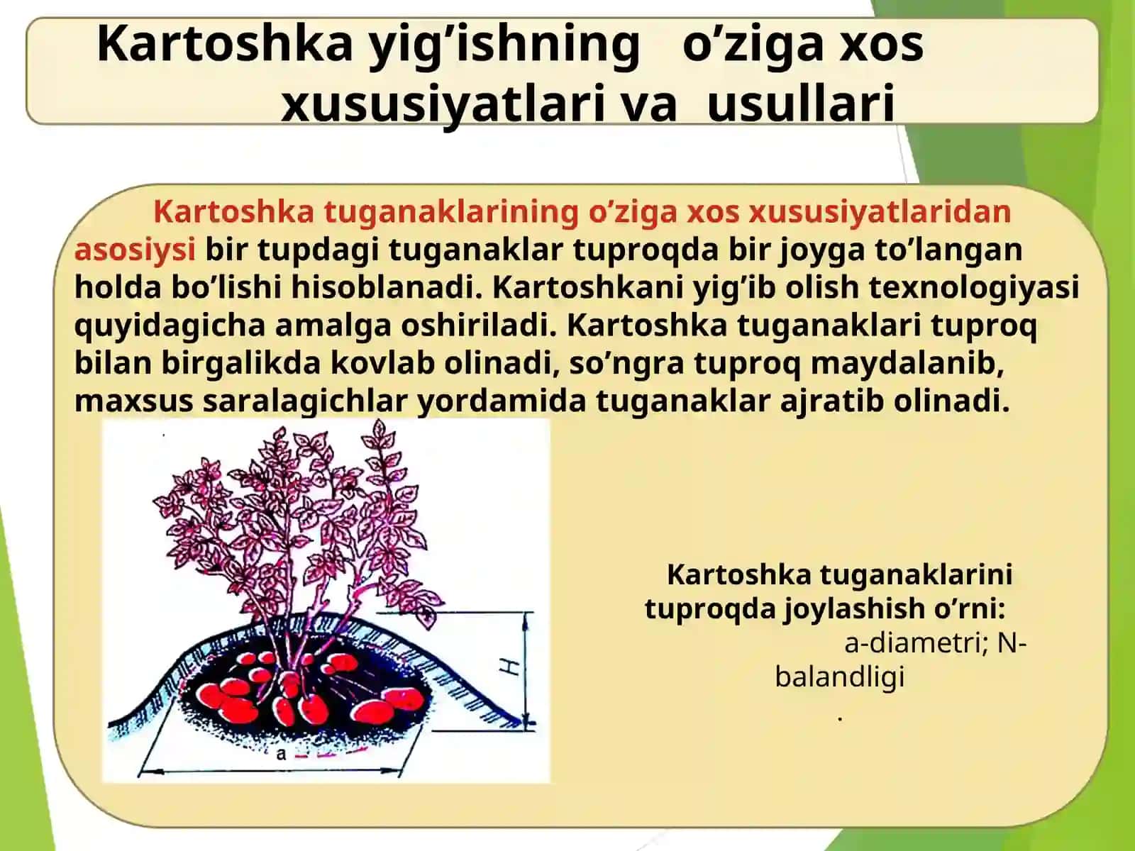 Kartoshka va meva-sabzavot xosilini yig'ish mashinalari 3