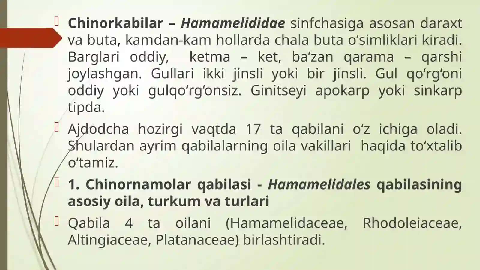 Ikki urug‘pallali o‘simliklar sinfi 3
