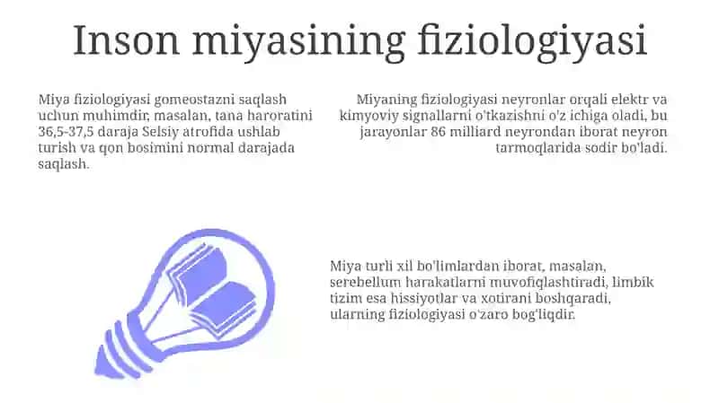 Inson miyaning fiziologiyasi 3