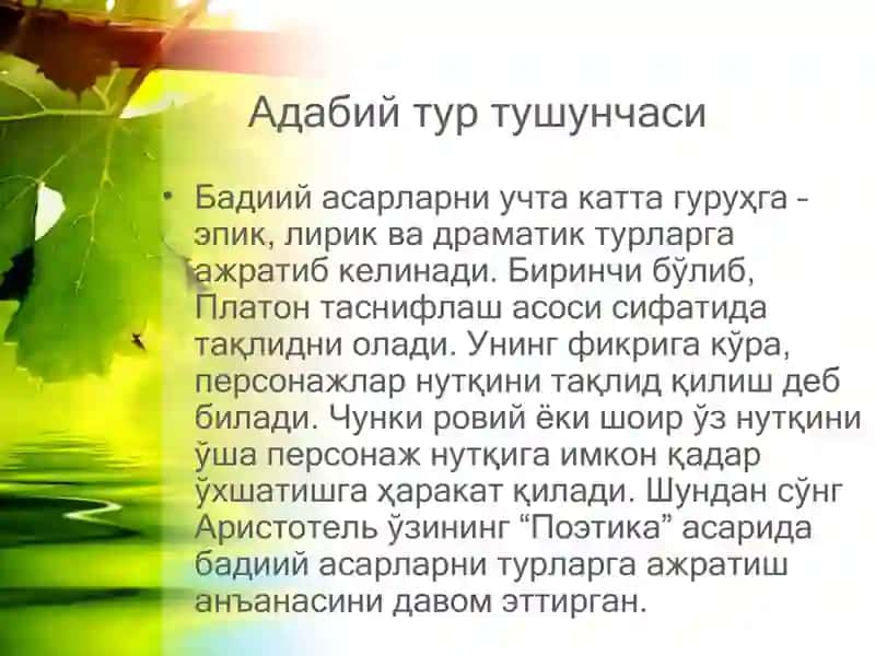 Адабий тур тушунчаси 3