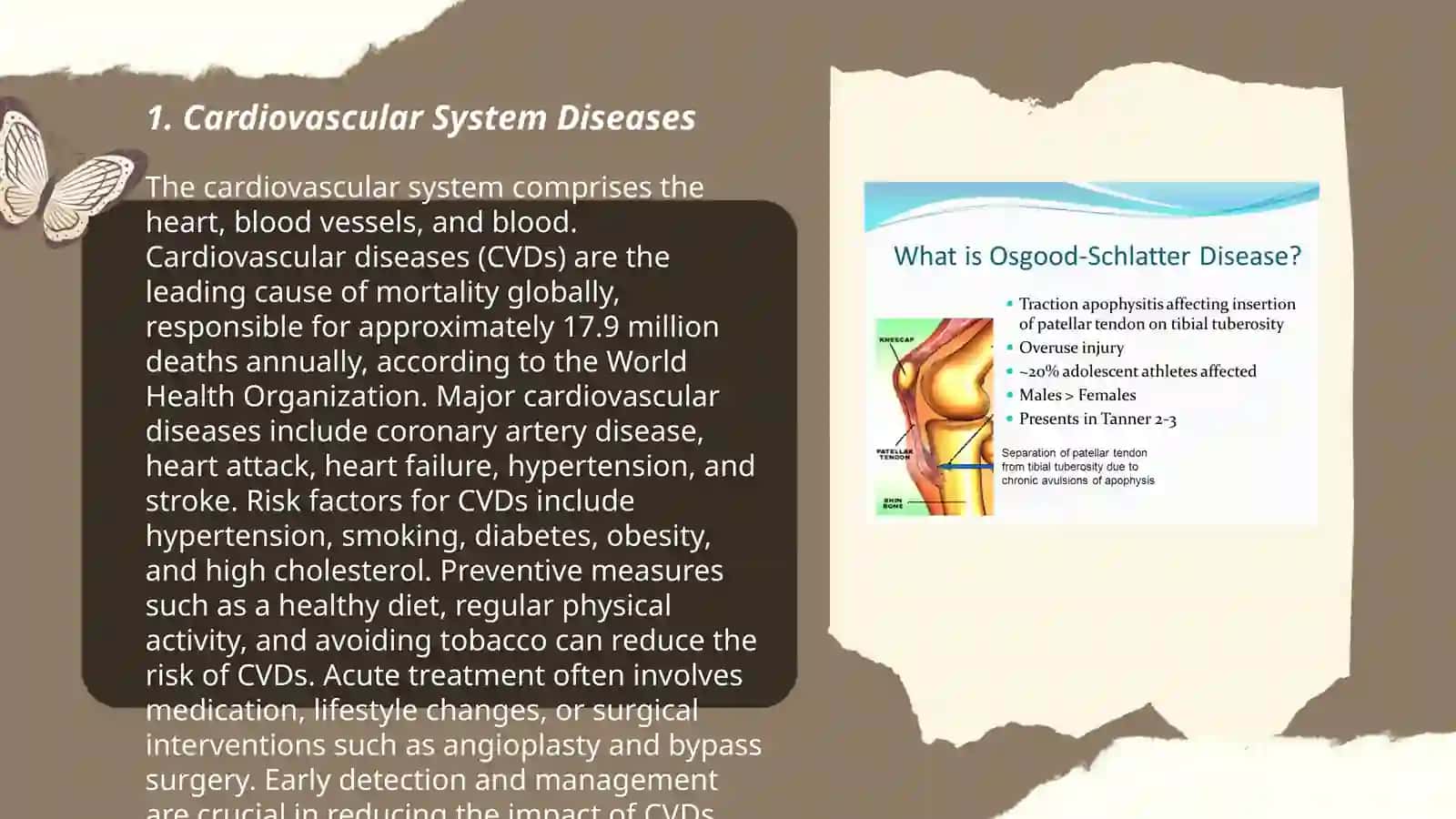 Systems, Diseases and Symptoms 3