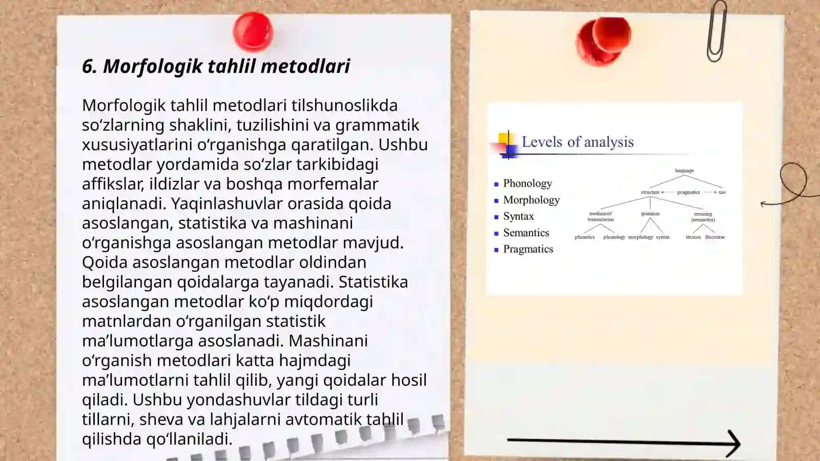 Morfologiyava uning boshqa tilshunoslik bo'limlari bilan munosabati 3