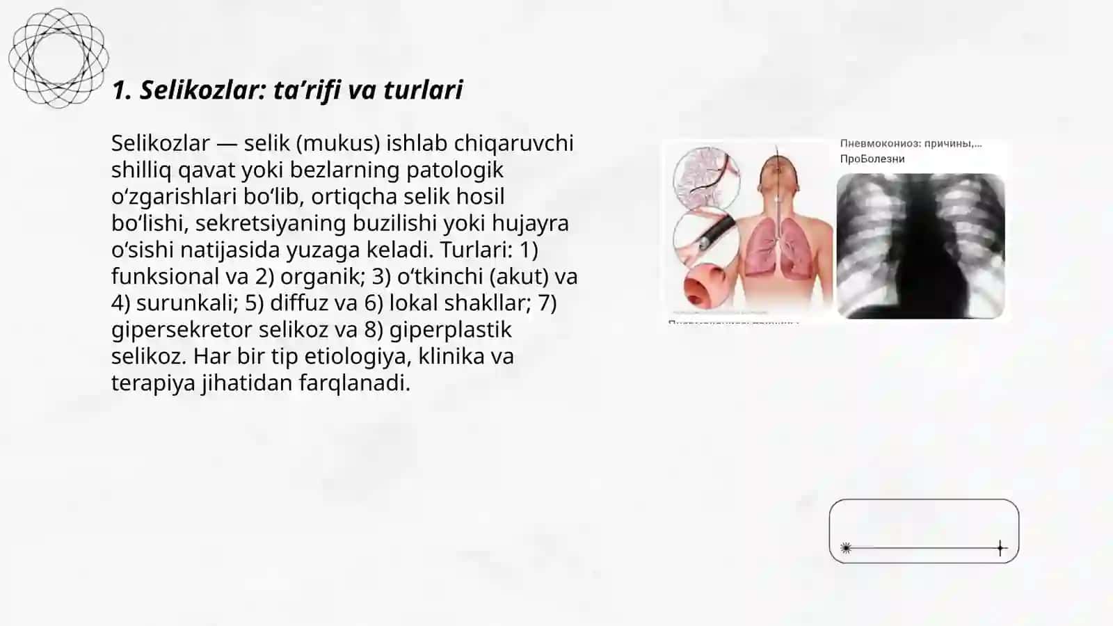 Selikozlar 3