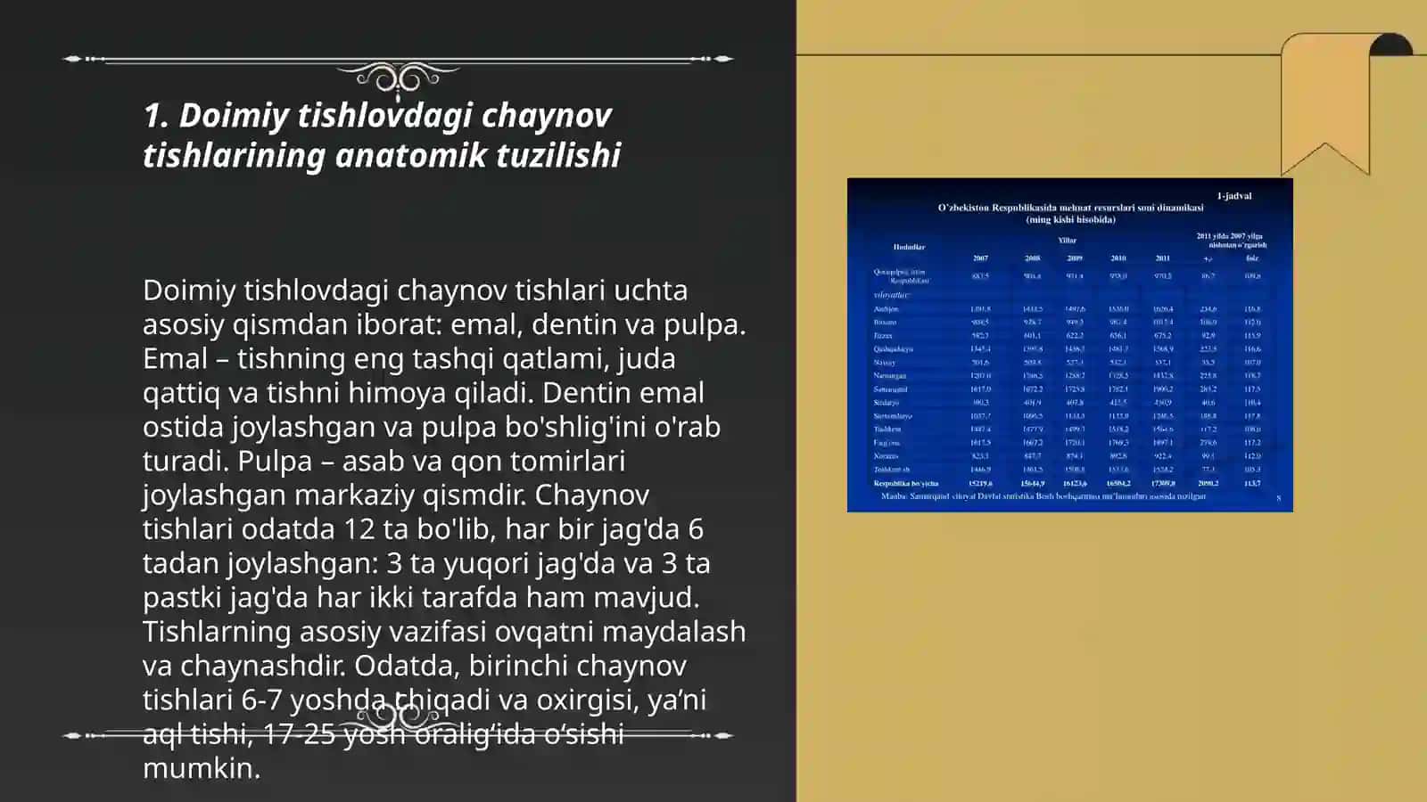 Doimiy tishlovdagi chaynov tishlarining tuzilishi 3