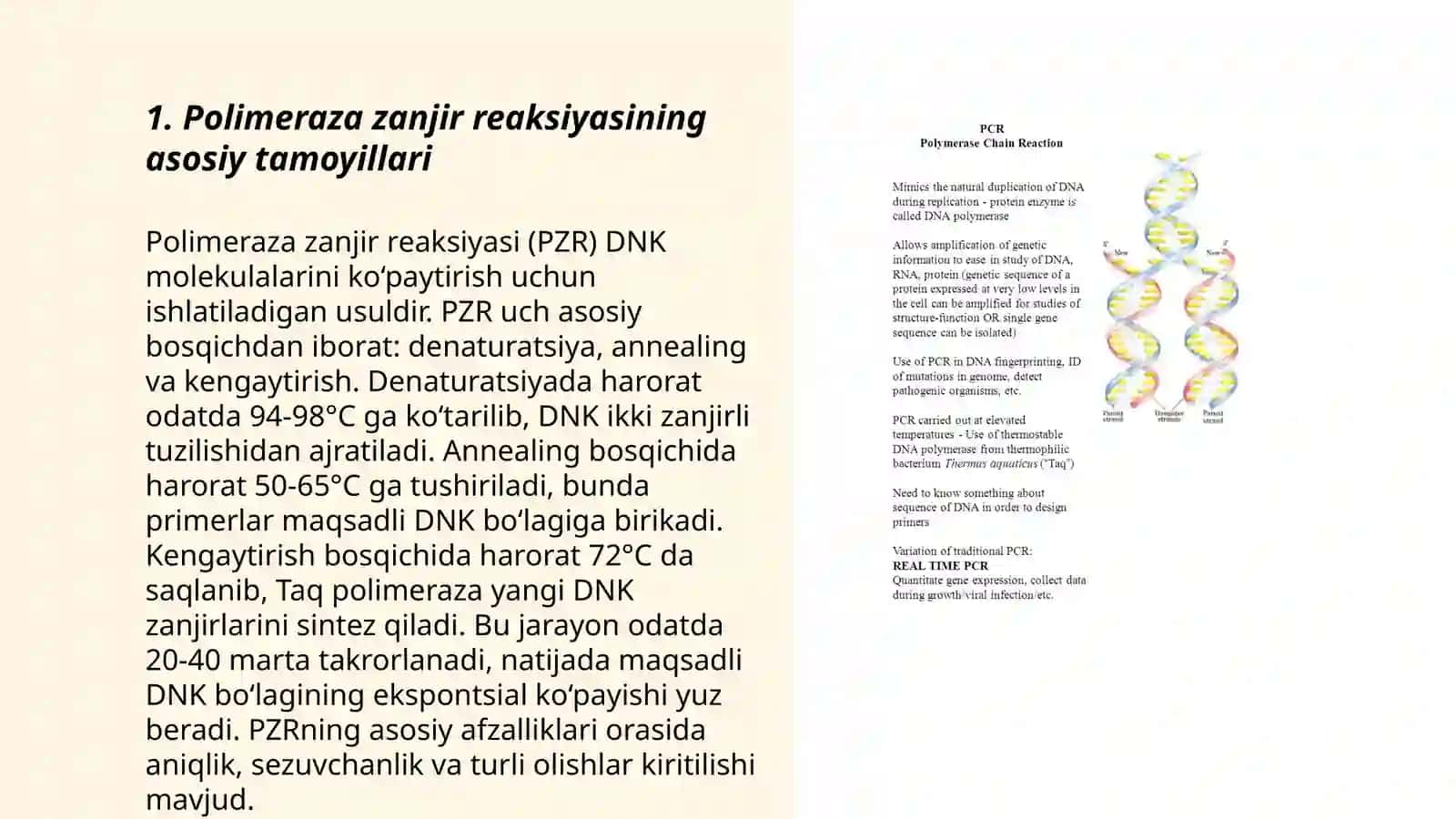 Polimeraza zanjir reaksiyasi 3