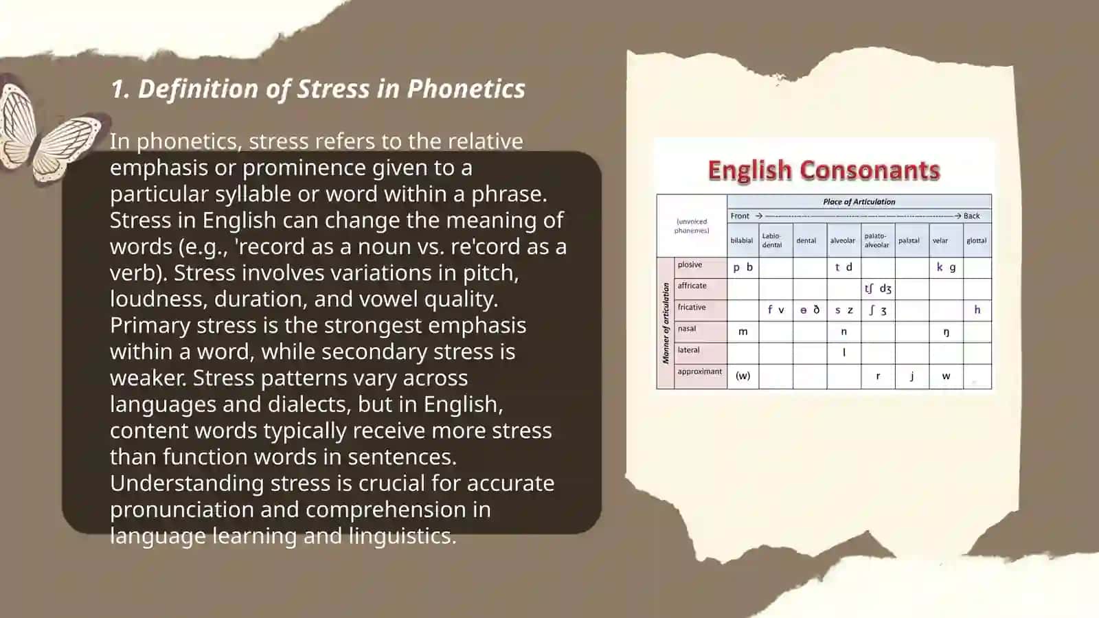 Stress. Strong and weak vowels 3