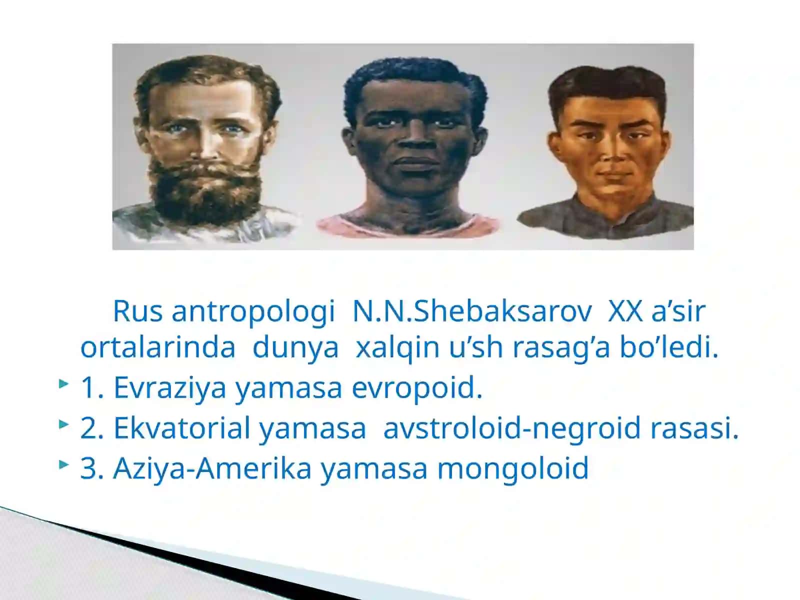 Negroidrasasi 3