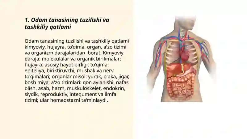 Odam tanasi haqida umumiy maʼlumot 3