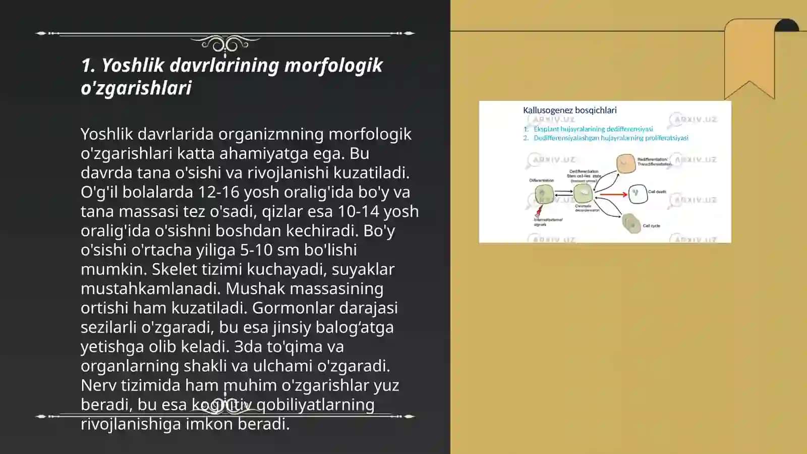 Yoshlik davrlarining morfologik va fiziologik xususiyatlari.Akseleratsiya qanday jarayon? 3
