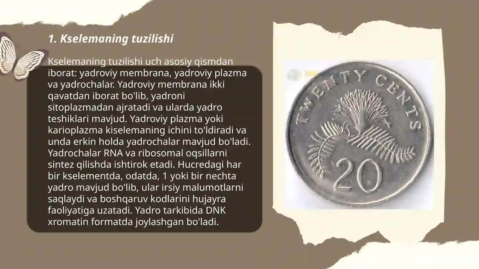 Kselema va Floema orqali moddalrni tashilishi 3