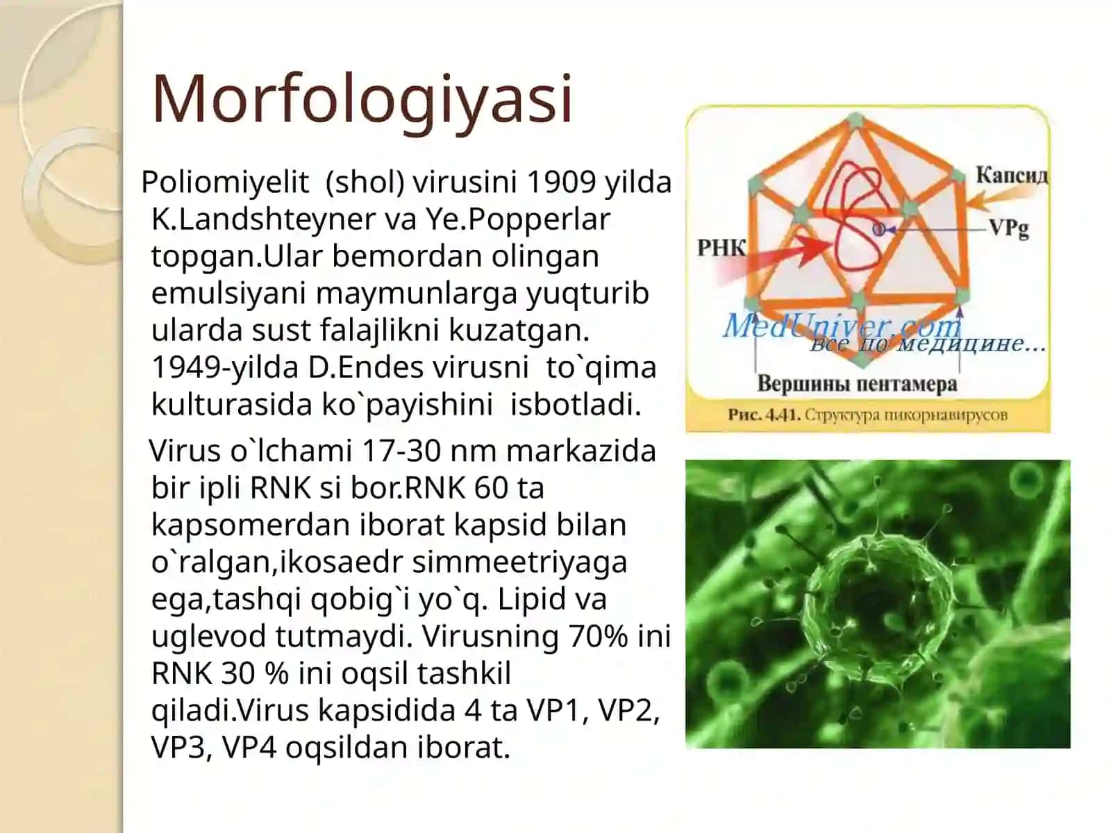 POLIOMIYELIT VIRUSI MORFOLOGIYASI 3