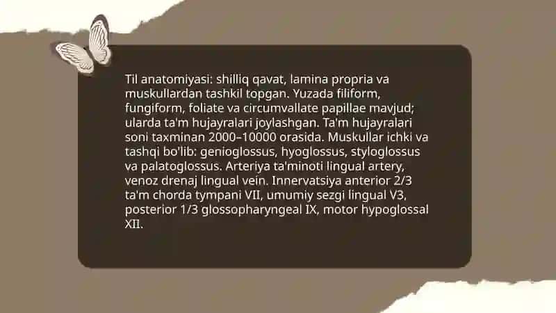 Til anatomiyasi 3