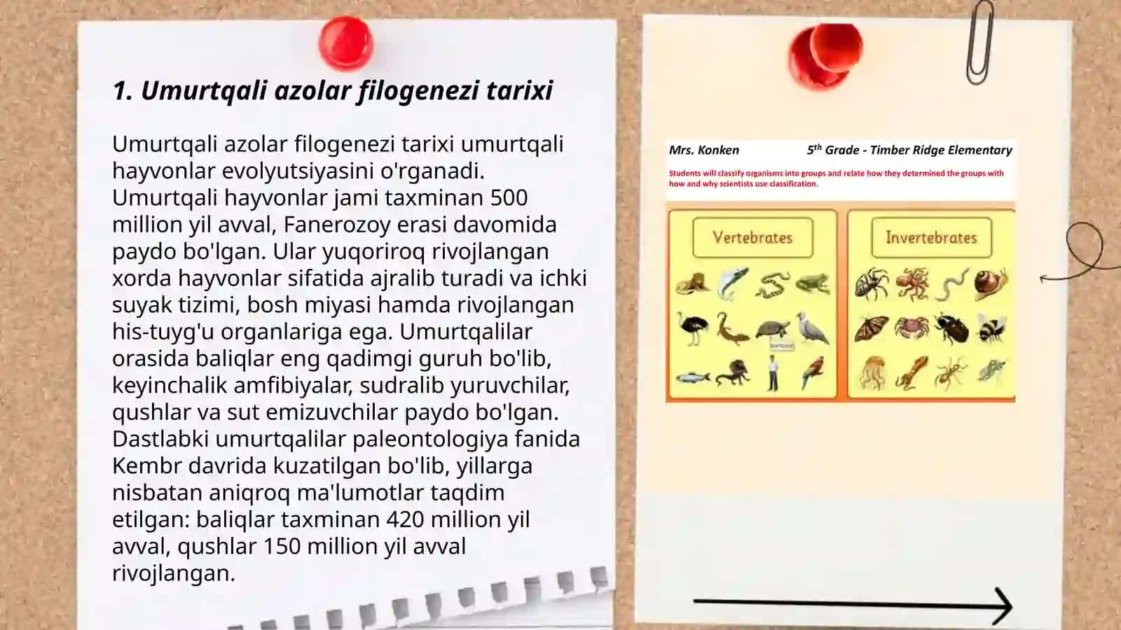 Umurtqali azolar filogenezi tarixi 3