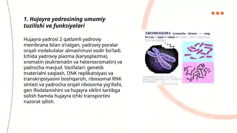 Hujayra yadrosining tarkibi, xromosomalar tuzilishi va ularning xususiyatlari 3